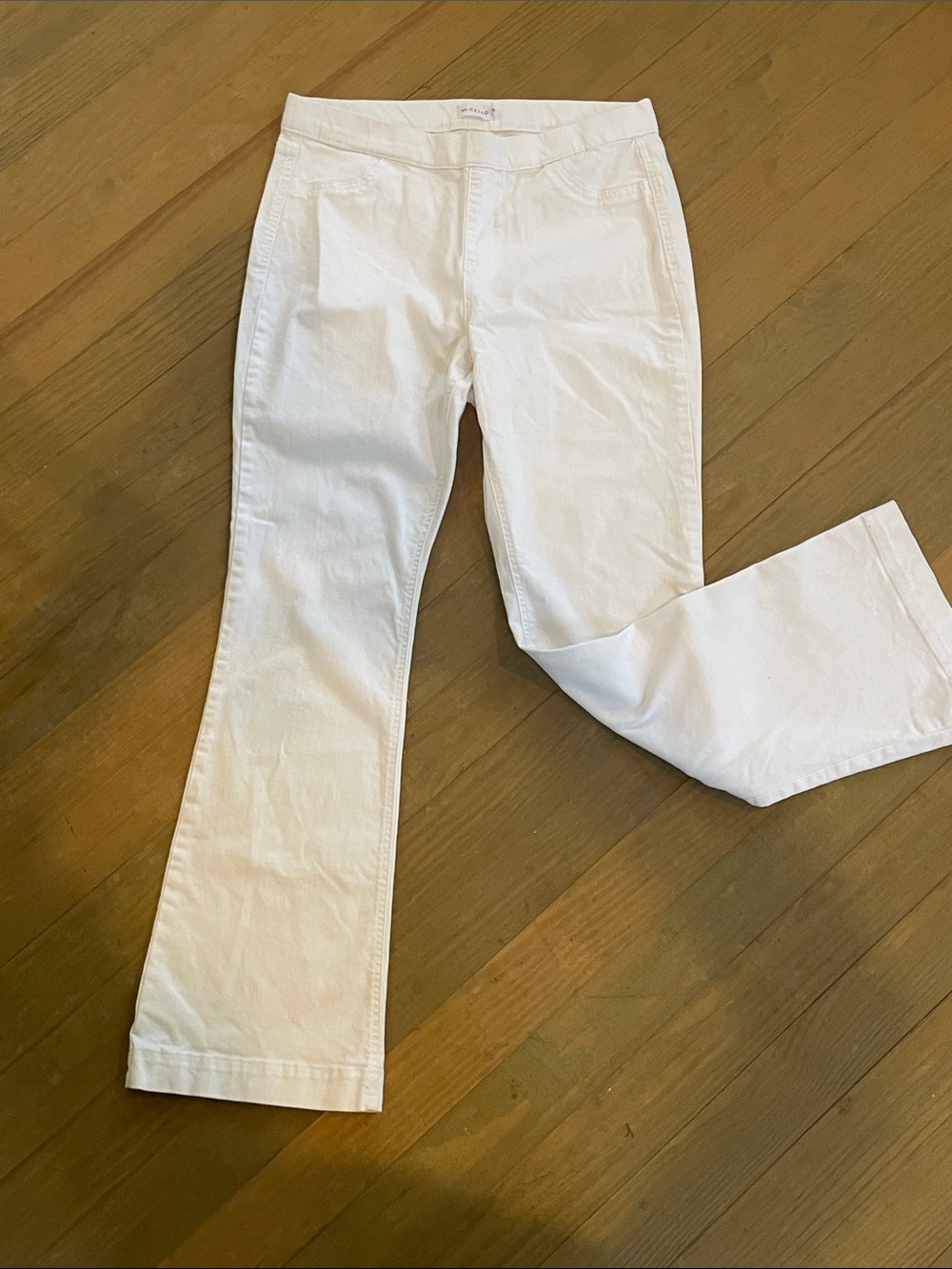 Cello White High-Waist Pants 1X